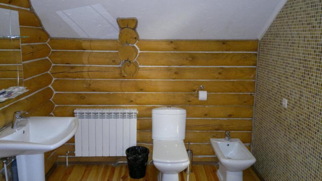Panska Hata Hotell Nytsjnja Khortijtsija Rom bilde